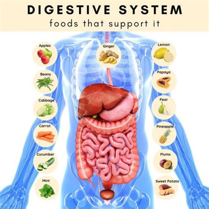 Is salad good for your digestive system?