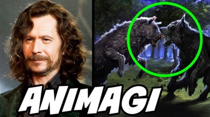 Is Snape an Animagus?