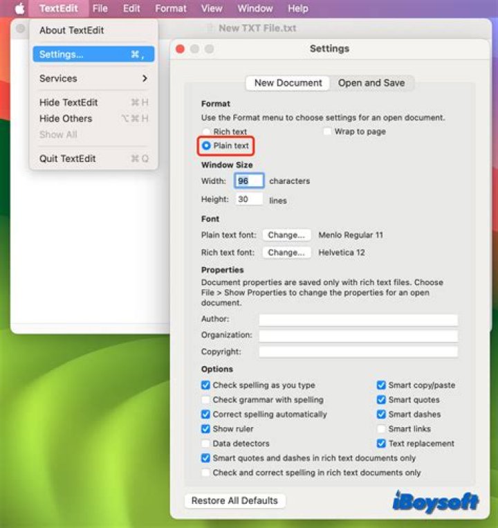 Is TextEdit plain text?