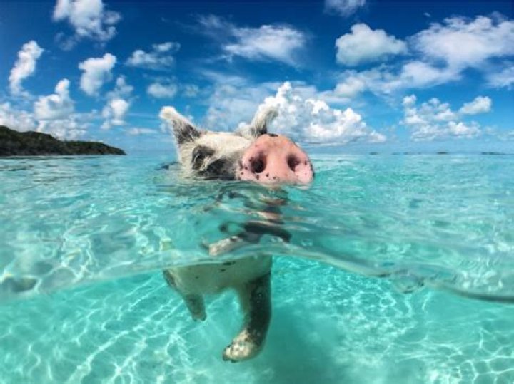 Is the Bahamas safe?
