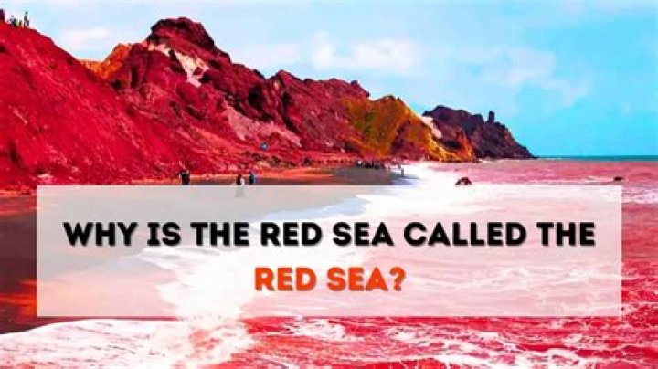 Is the Red Sea really red?