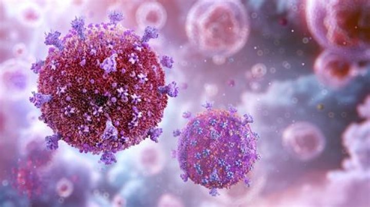 Is there a virus that attacks the joints?