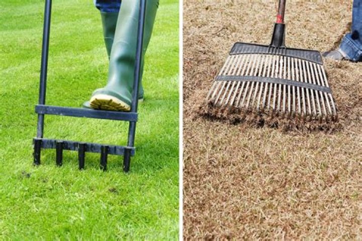 Is Verticutting the same as dethatching?