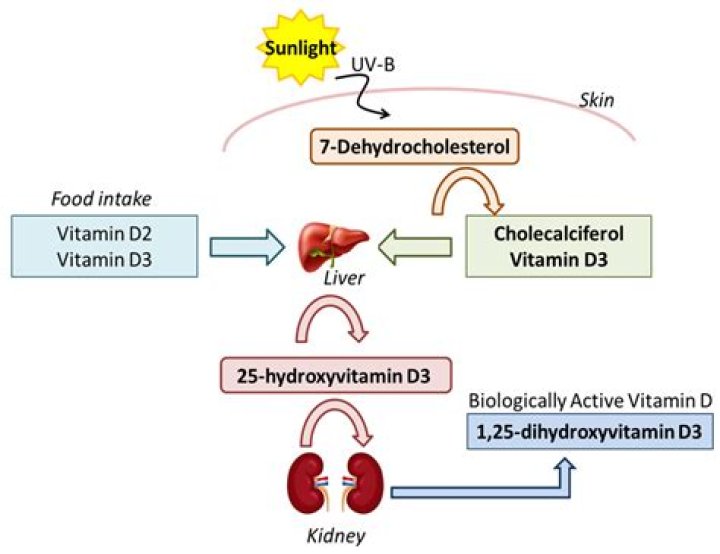 Is vitamin E harmful for skin?