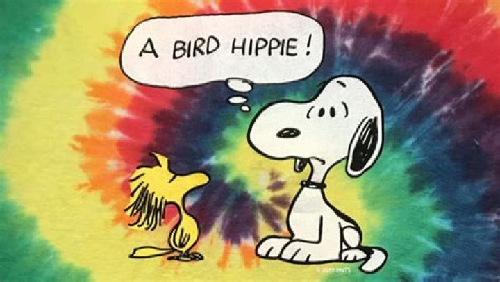 Is Woodstock a boy or girl?