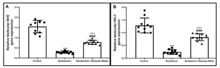 Is Zamzam toxic?