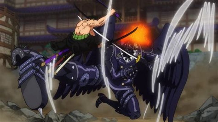 Is Zoro gonna fight king?