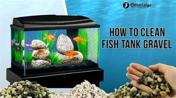 Should I clean the gravel in my fish tank?