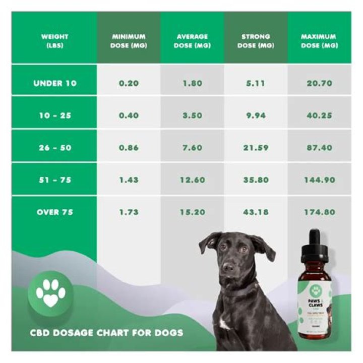Should I give my dog CBD oil everyday?