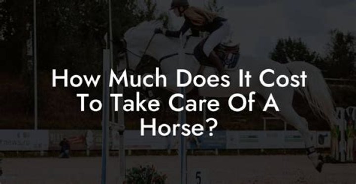 Should I give my horse oil?