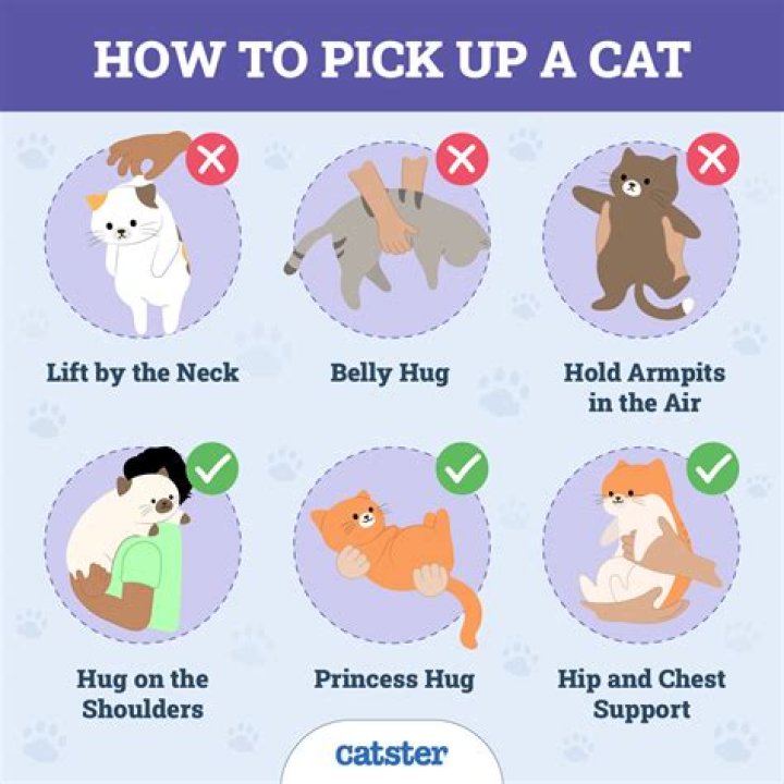Should I pick up baby every time he cries?