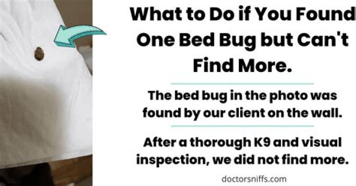 Should you be worried if you find one bed bug?
