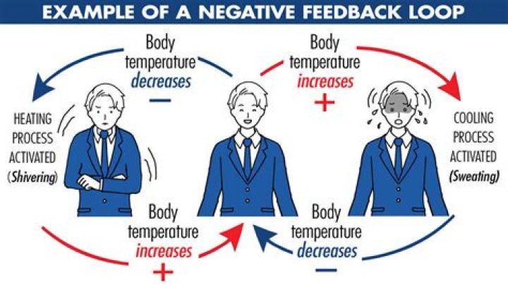 Should you hook up negative or positive first?