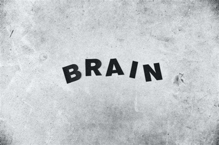 Was Einstein left or right brained?