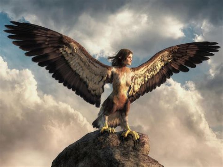 Was Hizdahr the harpy?