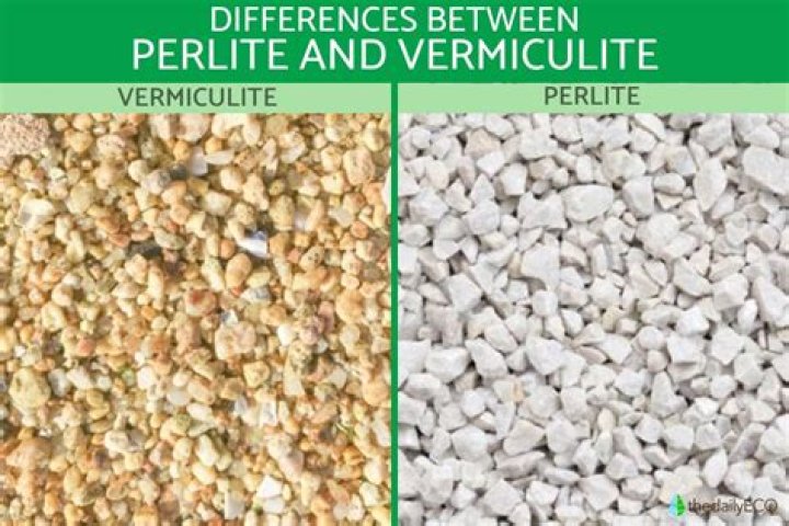 What's better vermiculite or perlite?