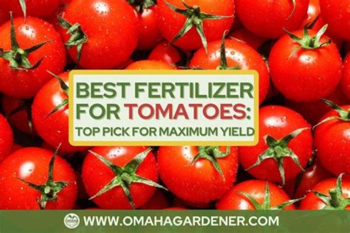 What's the best fertilizer for tomatoes?