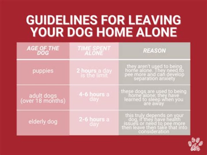 What's the longest you should leave a dog alone?