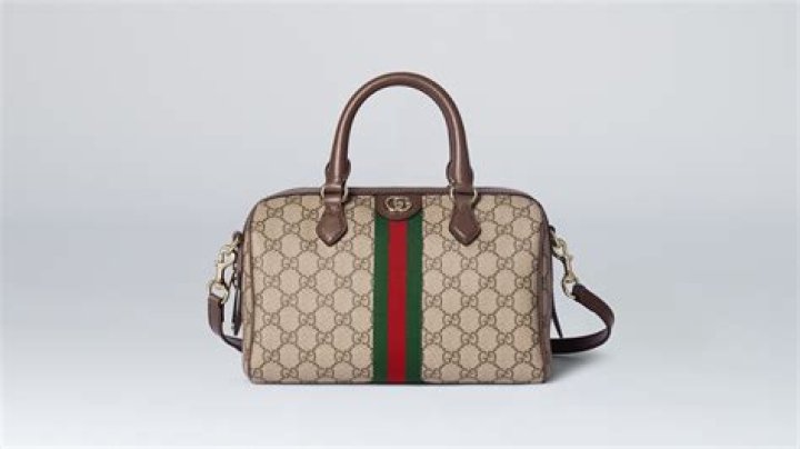 What animal is Gucci made of?