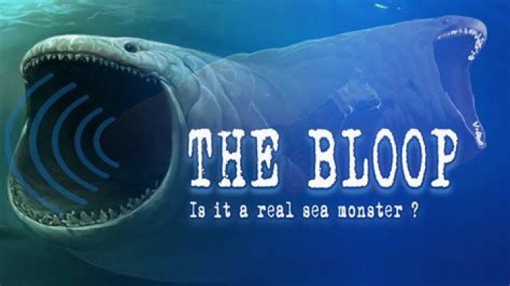 What animal made The Bloop?