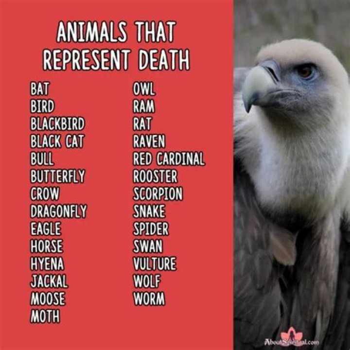 What animal represents death?