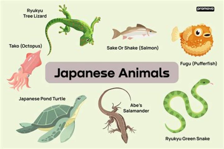 What animal represents Japan?