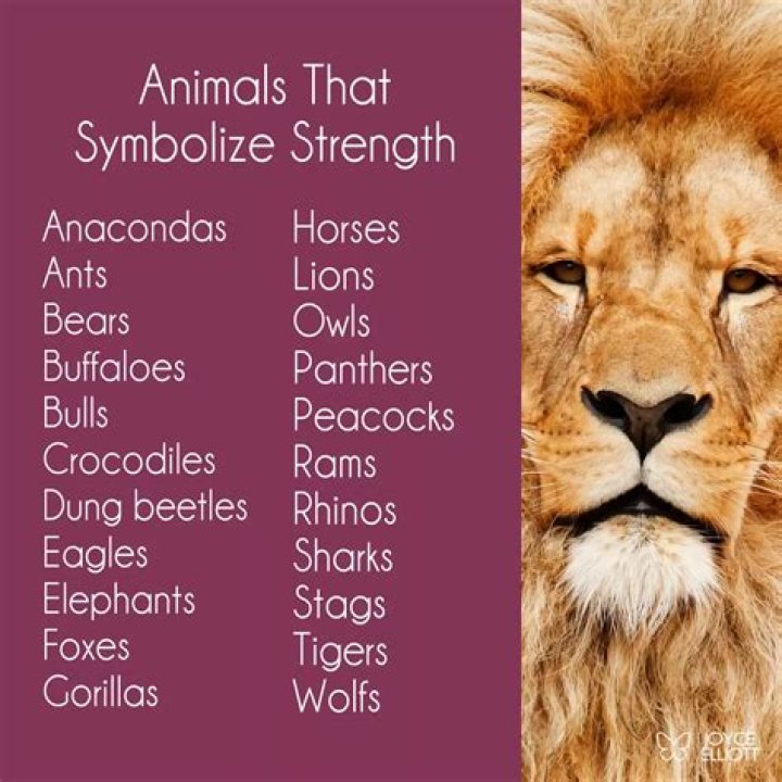 What animal represents wealth?