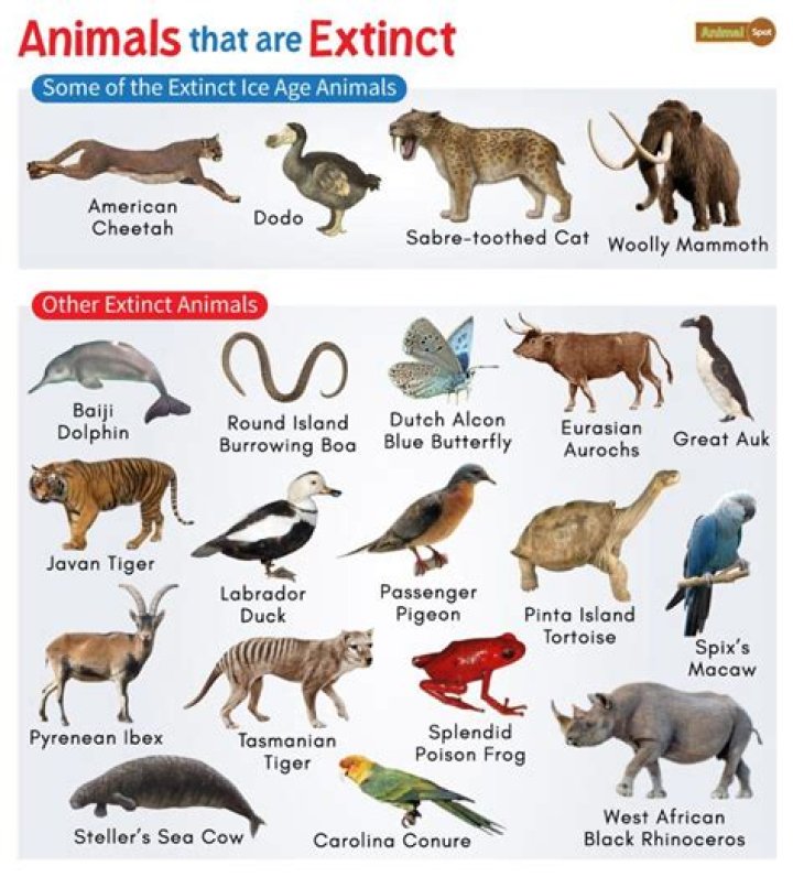 What animals are not edible?