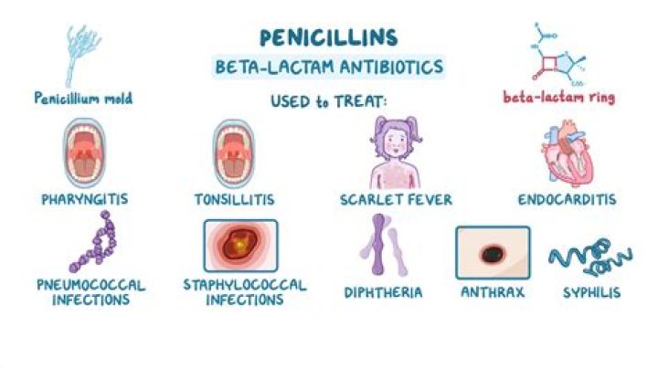 What antibiotics treat joint infections?
