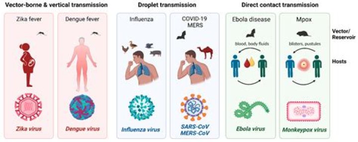 What are 5 diseases caused by viruses?