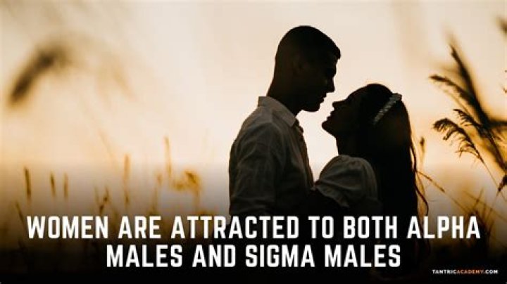 What are alpha female attracted to?