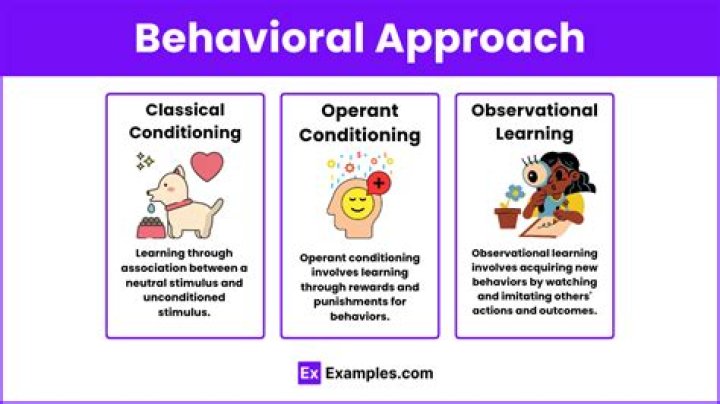 What are behavioral examples?