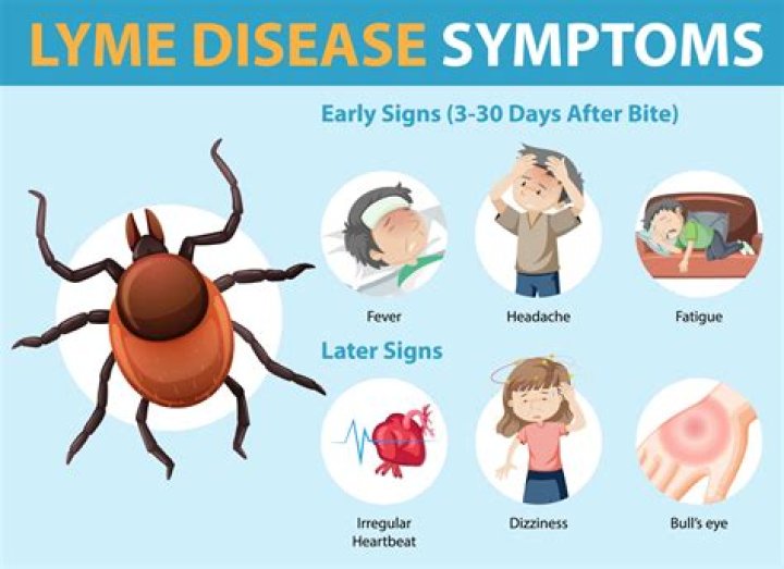 What are neurological symptoms of Lyme disease?