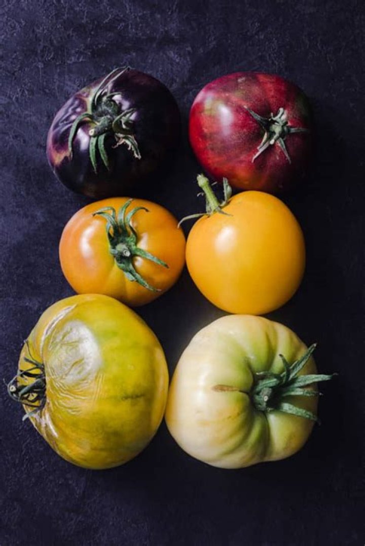 What are rainbow tomatoes?