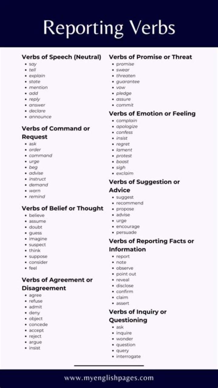 What are reporting verbs in academic writing?