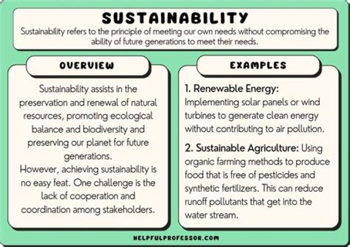 What are some examples of economic sustainability?