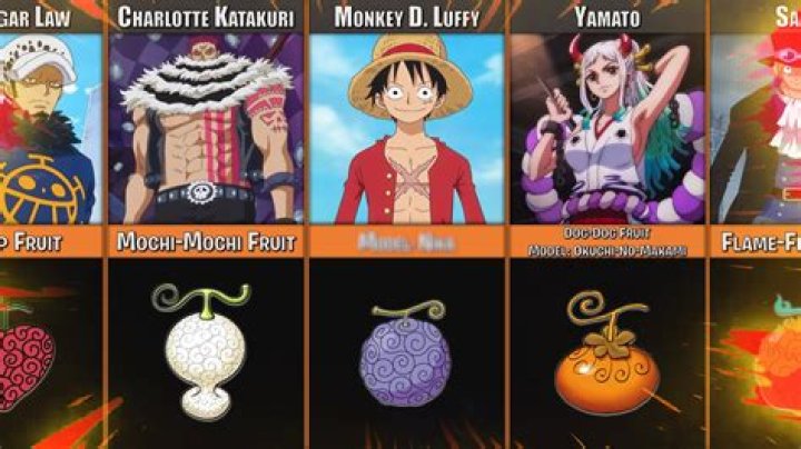What are the 15 Devil Fruits?