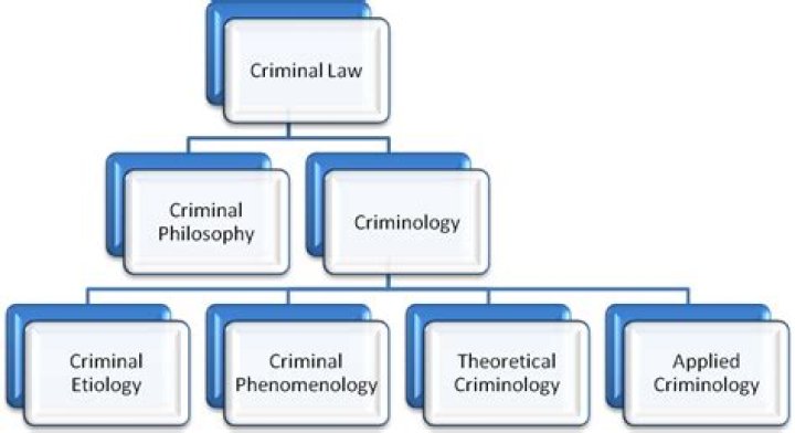 What are the 3 branches of criminology?