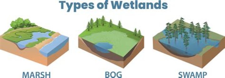 What are the 3 types of wells?