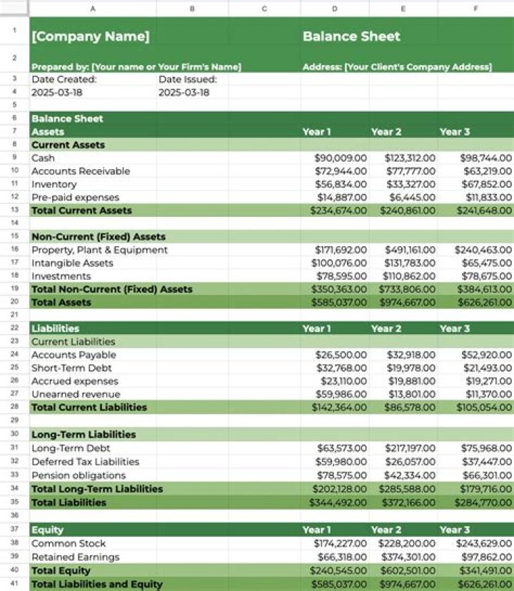 What are the 4 categories of assets on a balance sheet?