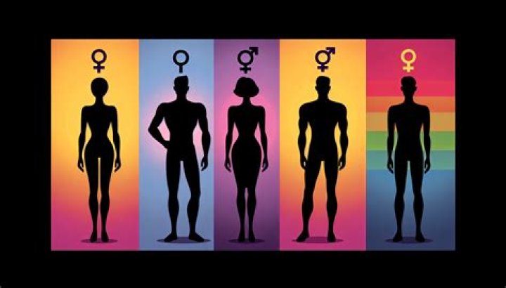 What are the 4 genders?