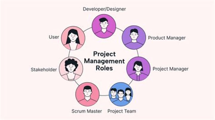 What are the 4 main roles in a project team?