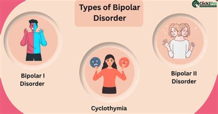 What are the 4 types of bipolar?