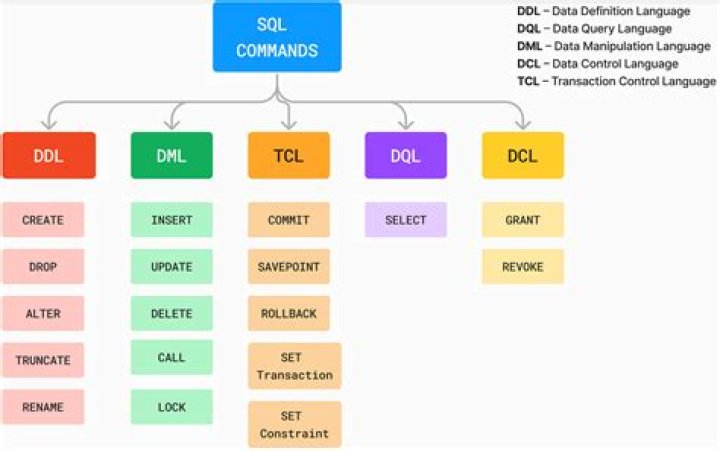 What are the 5 types of commands in drill?