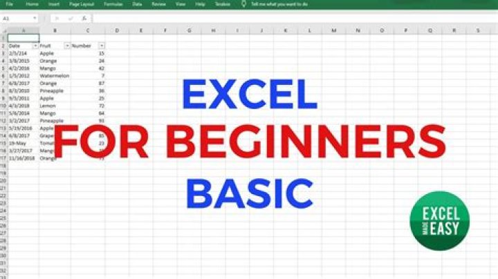 What are the basics of Excel?
