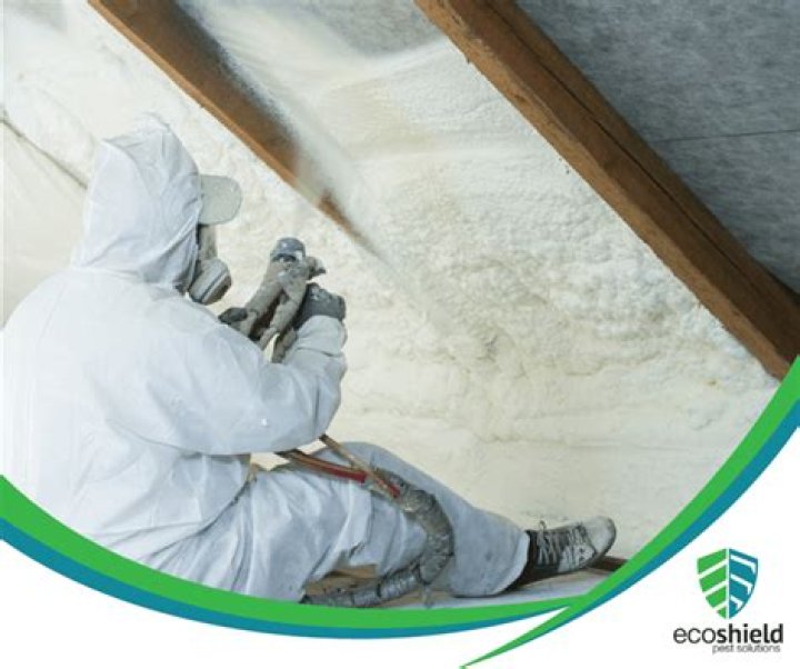 What are the disadvantages of spray foam insulation?