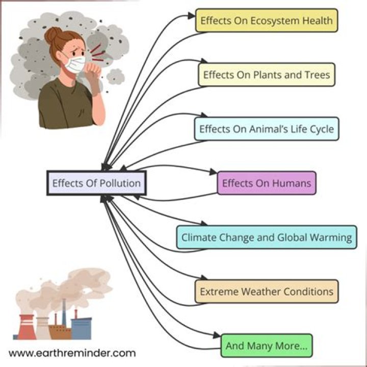 What are the effects of war in humans and the environment?