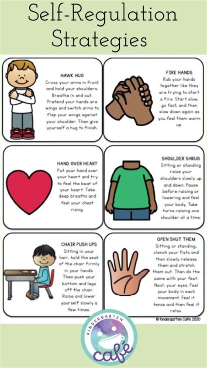 What are the four self-regulation strategies?
