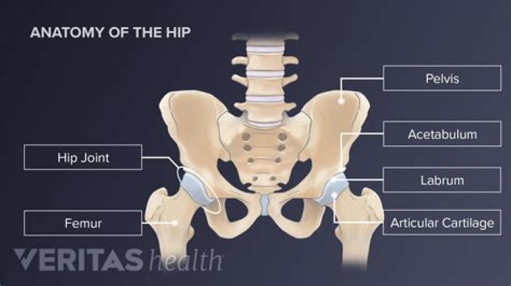 What are the hip lines on a guy called?