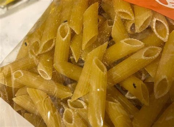 What are the little black bugs in my pasta?